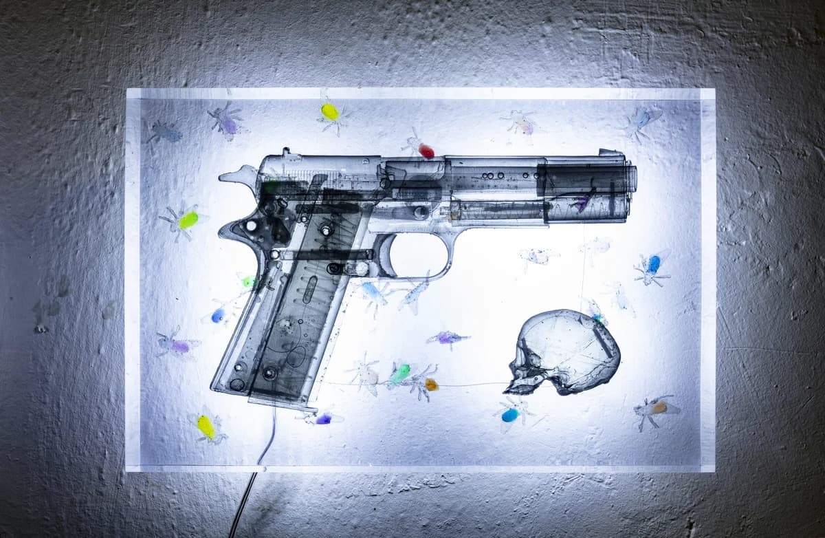 Gun and Bugs