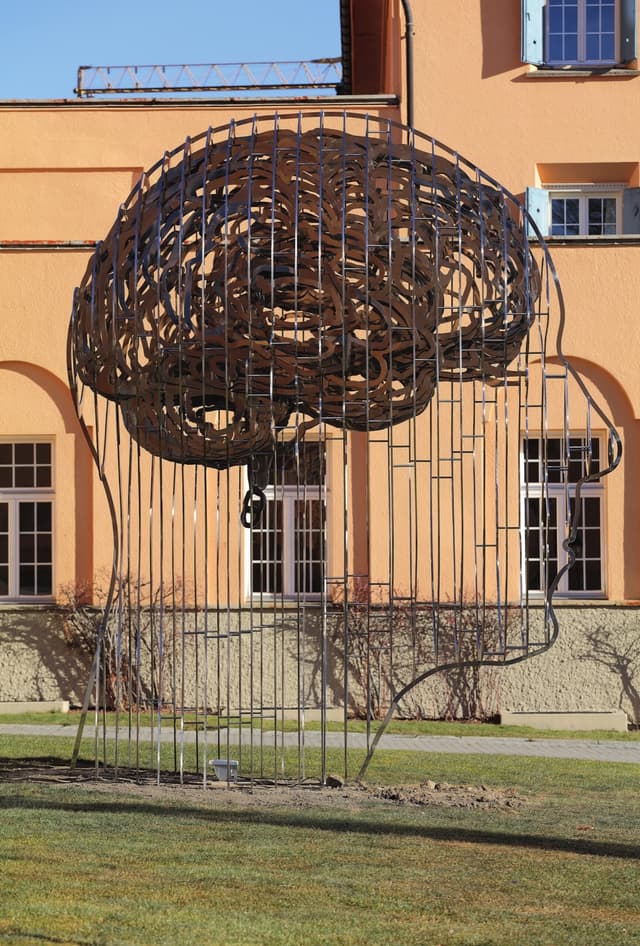 The Thinker — Lyceum Alpinum — photo 2 of 10