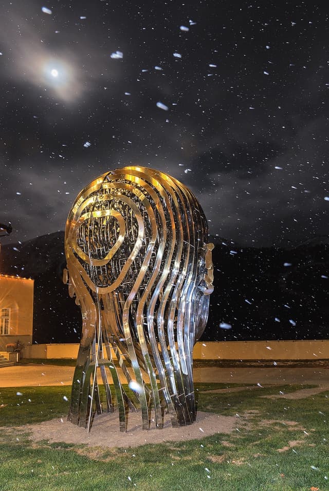 The Thinker — Lyceum Alpinum — photo 8 of 10
