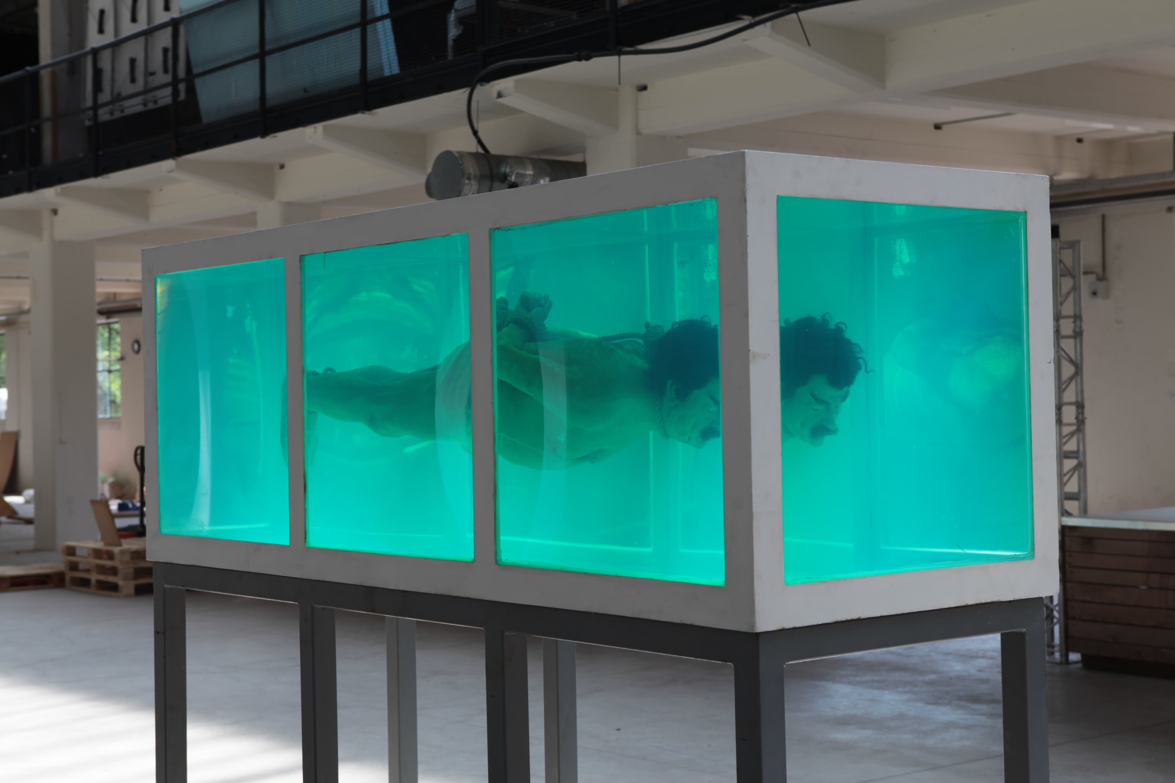 Shark — gallery image 3