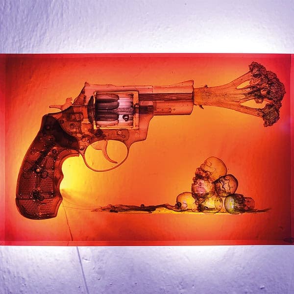 Gun and Broccoli