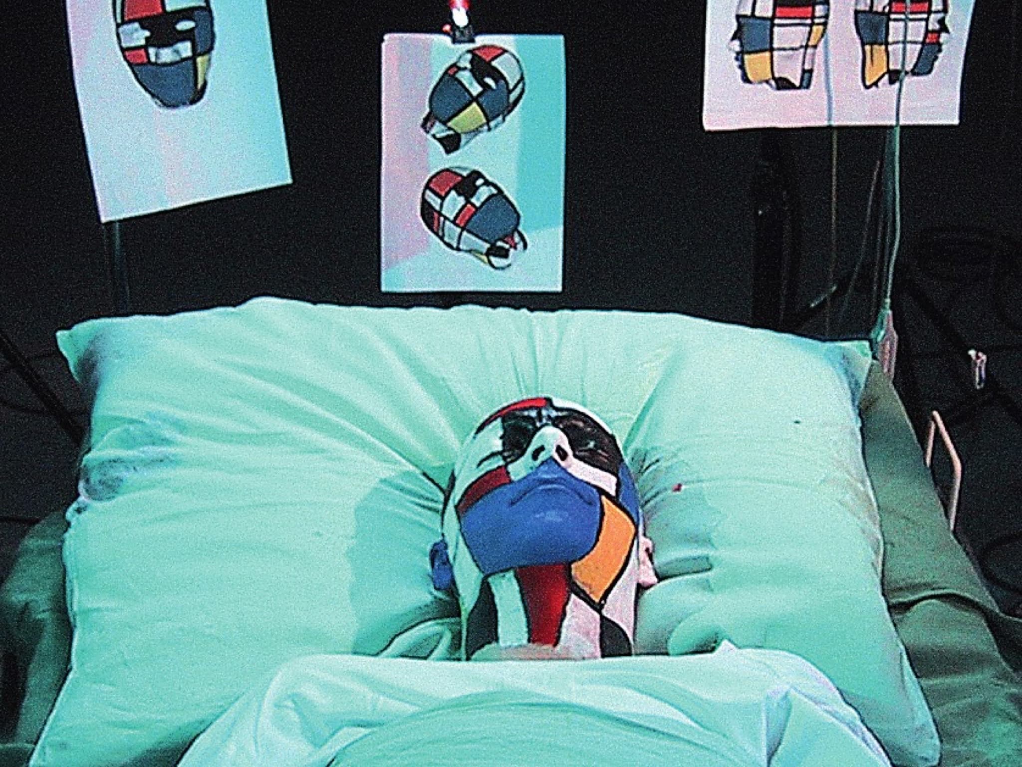 Artóza [Arthosis] — gallery image 8