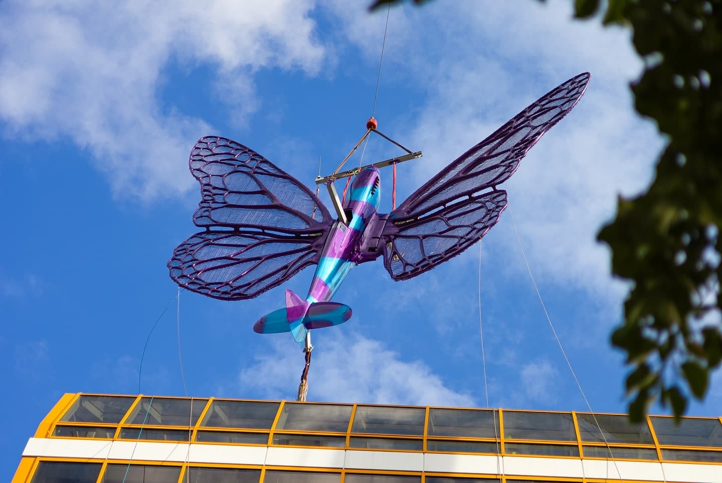 Butterfly Effect — gallery image 1