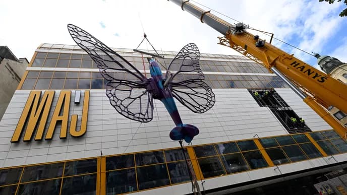Butterfly Effect — gallery image 3